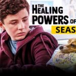 ‘The Healing Power of Dude’ Season 2: Has Netflix Canceled or Renewed?