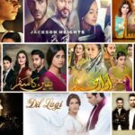 36 Best Pakistani Dramas Of All Time You Should Binge-Watch