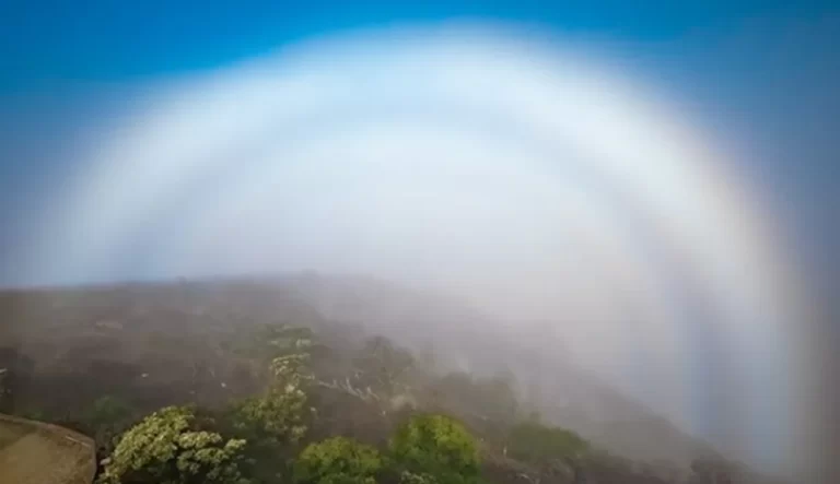 Photographer Shares Picture Of Mysterious Fogbow Formation, Surprises Internet