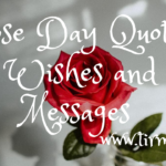 Rose Day Quotes, Wishes and Messages