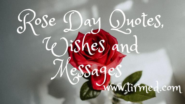 Rose Day Quotes, Wishes and Messages