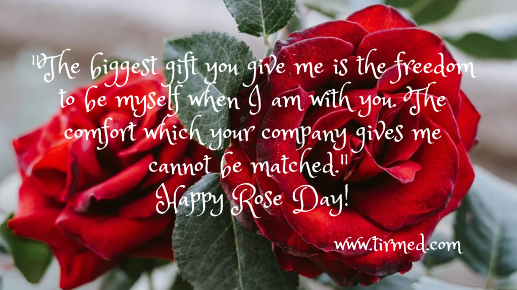  Rose Day Quotes, Wishes and Messages 