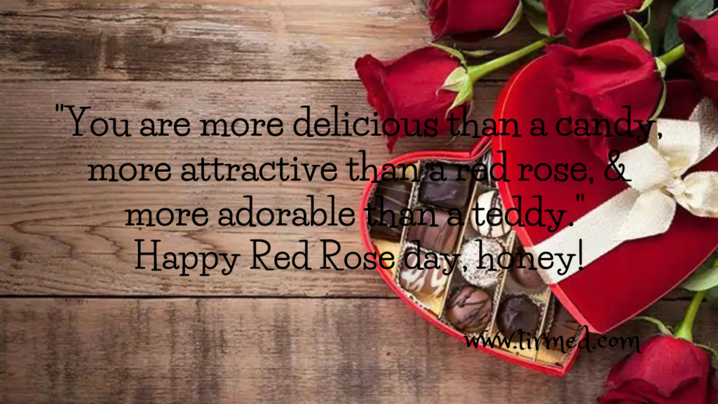 Rose Day Quotes, Wishes and Messages 