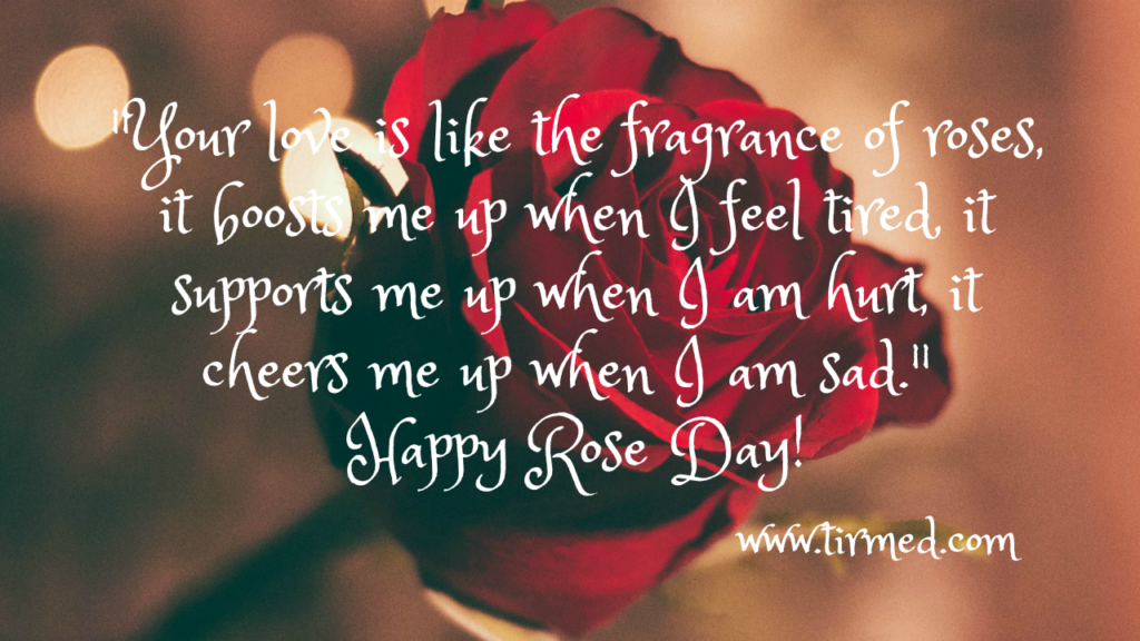 Rose Day Quotes, Wishes and Messages 