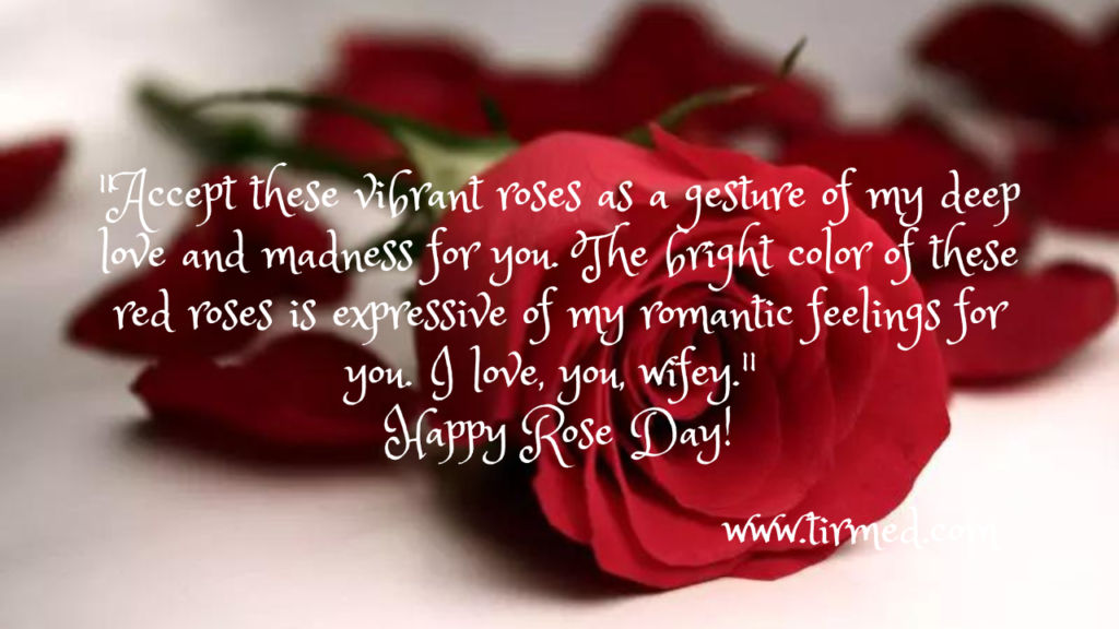  Rose Day Quotes, Wishes and Messages 