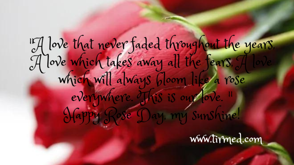  Rose Day Quotes, Wishes and Messages 