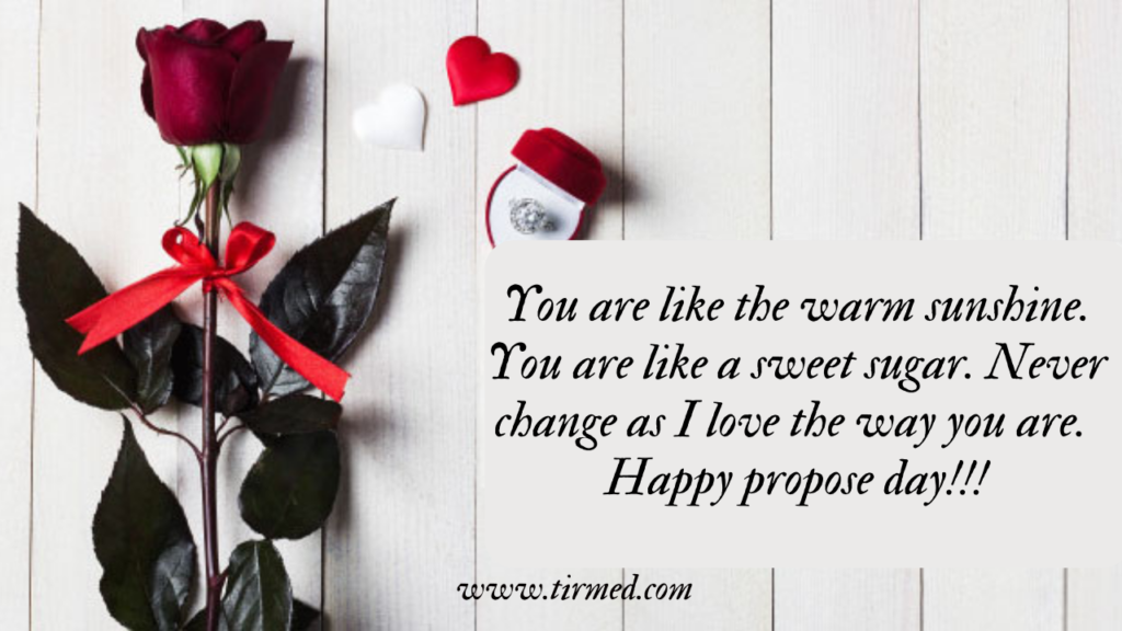 Propose Day Quotes, Messages and Wishes for 2023