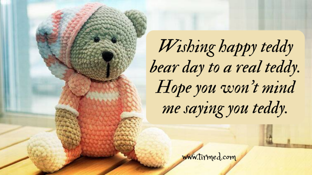 Happy Teddy Day 2023: Best wishes, Quotes  and Messages