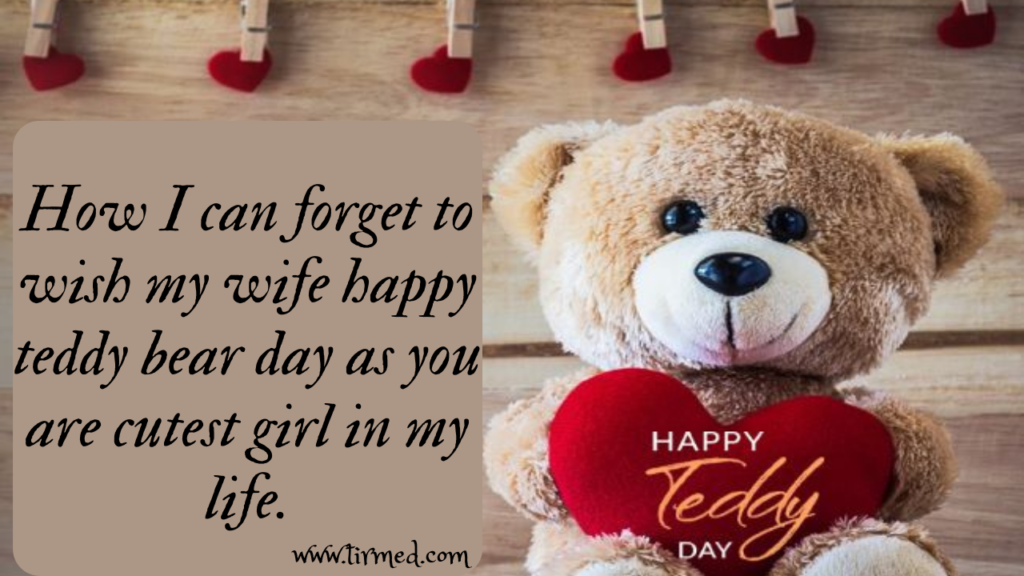 Happy Teddy Day 2023: Best wishes, Quotes  and Messages