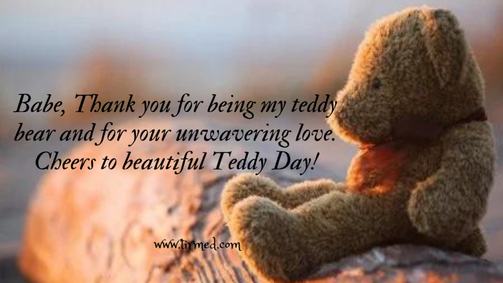 Happy Teddy Day 2023: Best wishes, Quotes  and Messages