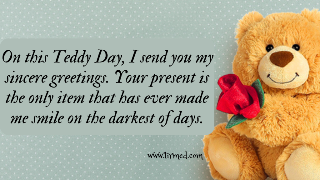 Happy Teddy Day 2023: Best wishes, Quotes  and Messages